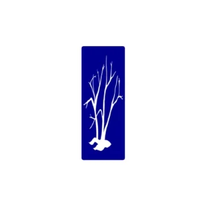 11-A