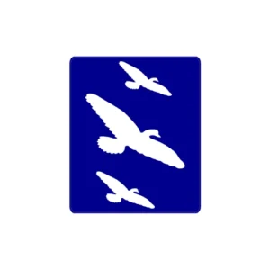 4-B