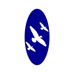 4-D