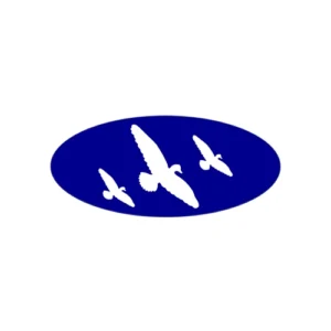 4-E